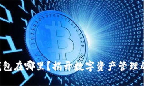 虚拟币的钱包在哪里？揭开数字资产管理的神秘面纱！