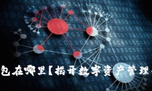 虚拟币的钱包在哪里？揭开数字资产管理的神秘面纱！