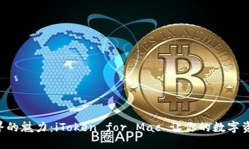 “体验区块链世界的魅力：iToken for Mac 让你的数字资产管理更轻松！”