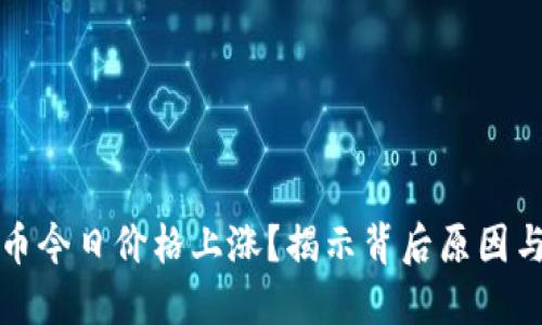 为何柴犬币今日价格上涨？揭示背后原因与未来走势