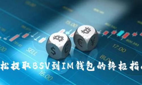 轻松提取BSV到IM钱包的终极指南！