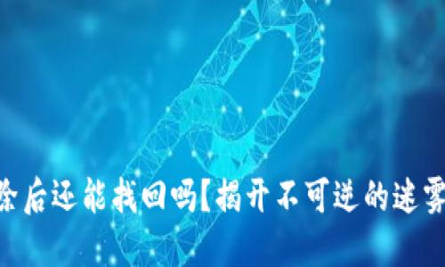 IM钱包代币删除后还能找回吗？揭开不可逆的迷雾，了解你的选择