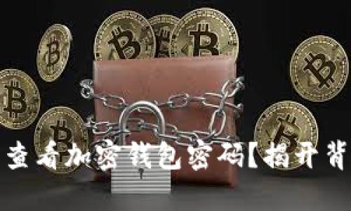 如何安全查看加密钱包密码？揭开背后的秘密