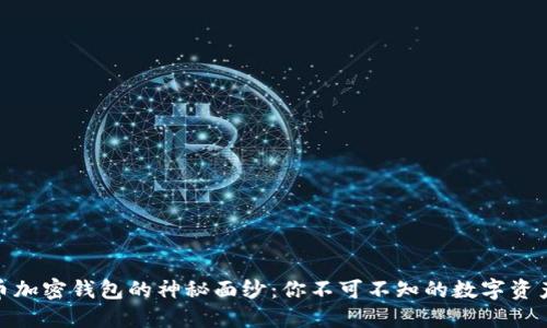 揭开比特币加密钱包的神秘面纱：你不可不知的数字资产保护之道