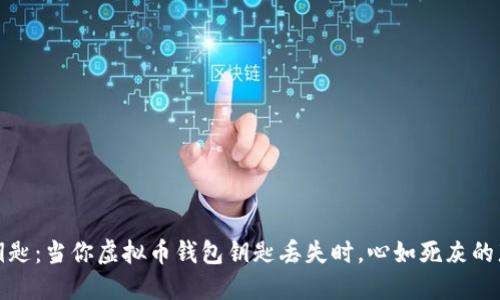 失落的钥匙：当你虚拟币钱包钥匙丢失时，心如死灰的那些时刻