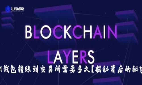 IM钱包转账到交易所需要多久？揭秘背后的秘密！
