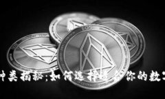 区块链钱包的种类揭秘：如何选择适合你的数字