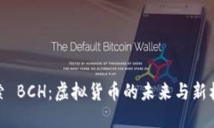 探索 BCH：虚拟货币的未来与新机遇