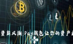 区块链投资新风潮：Pay钱包让你的资产更安全吗