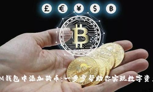 如何在IM钱包中添加狗币：一步步帮助你实现数字资产的管理