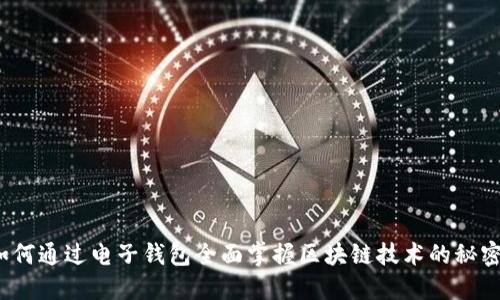 如何通过电子钱包全面掌握区块链技术的秘密？