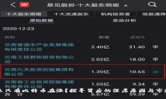 为什么只有比特币在涨？探寻背后的深层原因与