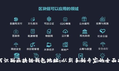 如何识别区块链钱包地址：从新手到专家的全面指南