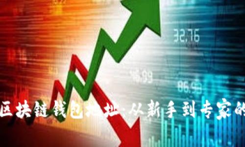 如何识别区块链钱包地址：从新手到专家的全面指南