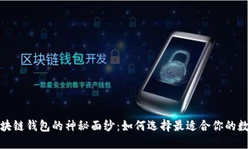 揭开区块链钱包的神秘面纱：如何选择最适合你的数字钱包