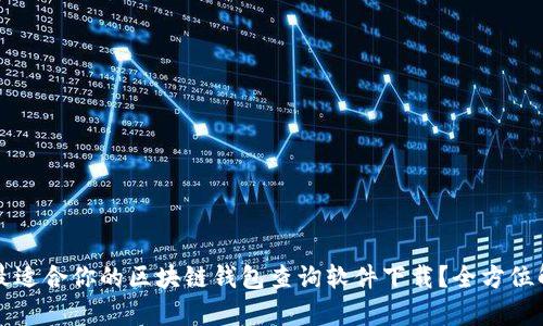 如何选择最适合你的区块链钱包查询软件下载？全方位解析与推荐