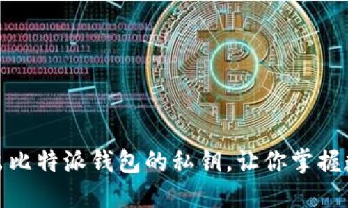 如何安全地导出比特派钱包的私钥，让你掌握数字资产的安全