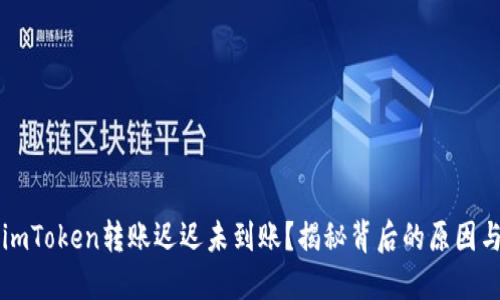 为何你的imToken转账迟迟未到账？揭秘背后的原因与解决方案