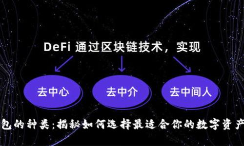 虚拟币钱包的种类：揭秘如何选择最适合你的数字资产存储工具