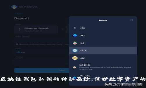 揭开区块链钱包私钥的神秘面纱：保护数字资产的关键