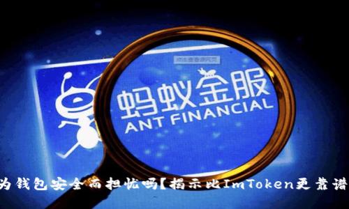 你还在为钱包安全而担忧吗？揭示比ImToken更靠谱的选择！