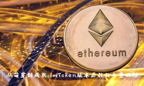 从萌芽到成熟：imToken版本历程的全景回顾