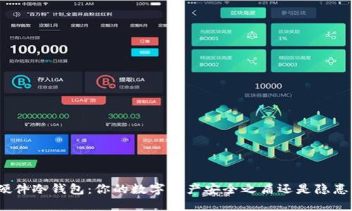 硬件冷钱包：你的数字资产安全之盾还是隐患？