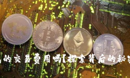 你了解IM钱包的交易费用吗？探索背后的秘密和省钱技巧！