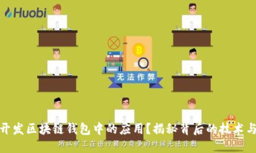 如何开发区块链钱包中的应用？揭秘背后的技术与策略