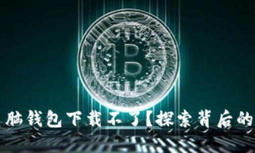 为什么区块链电脑钱包下载不了？探索背后的原因与解决方案