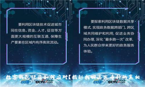 数字钱包被盗如何应对？揭秘找回丢失币种的真相