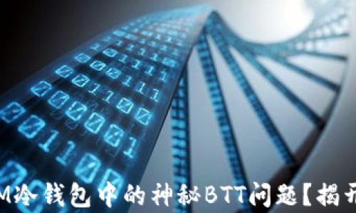 
如何解决IM冷钱包中的神秘BTT问题？揭开背后真相！