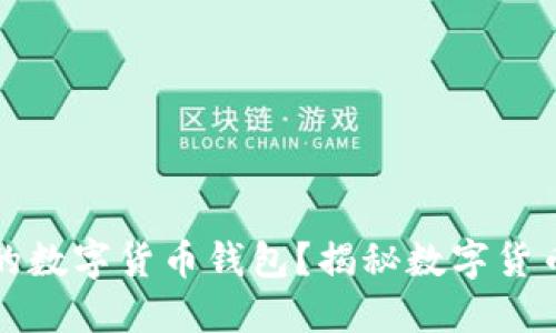 如何选择适合你的数字货币钱包？揭秘数字货币公司的隐秘世界