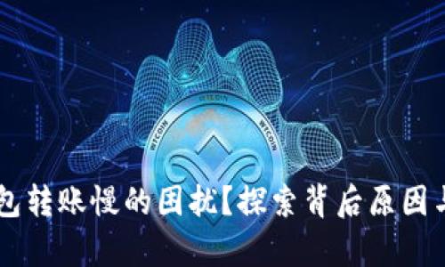 如何解决IM钱包转账慢的困扰？探索背后原因与有效解决方案