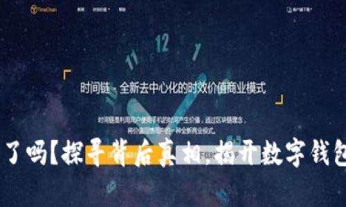 MY钱包倒闭了吗？探寻背后真相，揭开数字钱包未来的迷雾