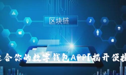 如何选择最适合你的数字钱包APP？揭开便捷支付的秘密！