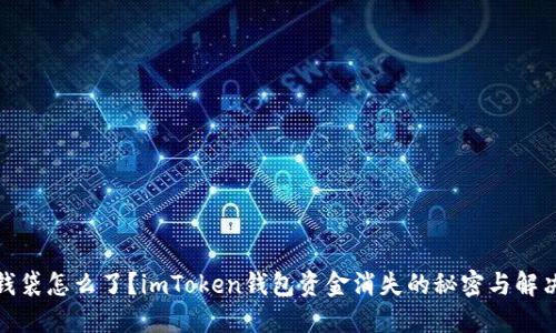 你的钱袋怎么了？imToken钱包资金消失的秘密与解决之道