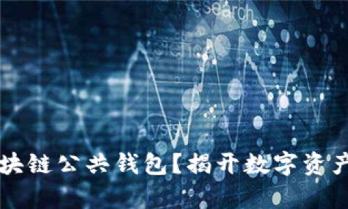 究竟什么是区块链公共钱包？揭开数字资产管理的新篇章