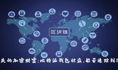 丢失的加密财富：比特派钱包被盗，能否追踪到IP？