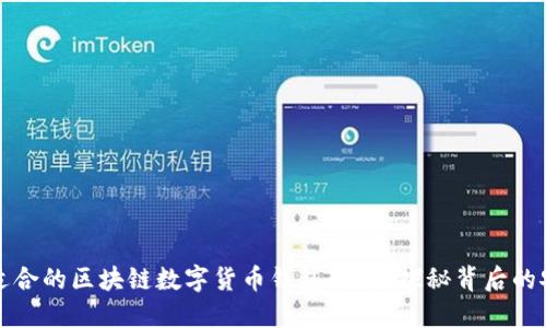 如何选择适合的区块链数字货币钱包软件？探秘背后的安全与便利