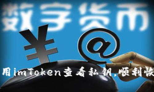  如何安全地使用imToken查看私钥，顺利恢复你的IP资产？