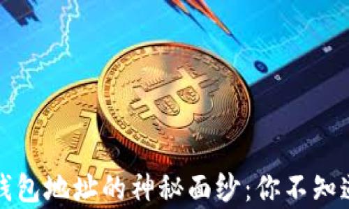
揭开虚拟币钱包地址的神秘面纱：你不知道的生成规律