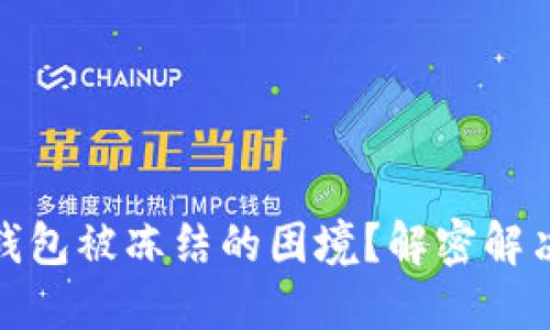 如何应对区块链钱包被冻结的困境？解密解决方案与潜在风险