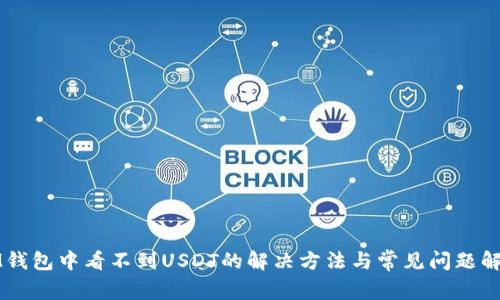 IM钱包中看不到USDT的解决方法与常见问题解析