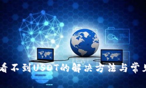 IM钱包中看不到USDT的解决方法与常见问题解析