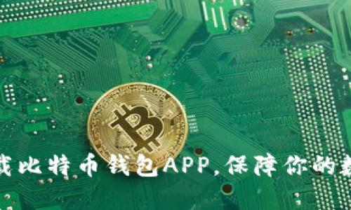 如何安全下载比特币钱包APP，保障你的数字资产安全