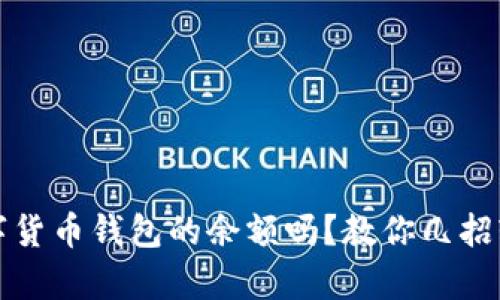 你真的会检查数字货币钱包的余额吗？教你几招轻松掌握你的资产