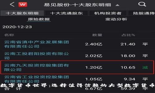 探索数字货币世界：选择值得信赖的大型数字货币钱包