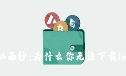 揭开神秘面纱：为什么你无法下载imToken？