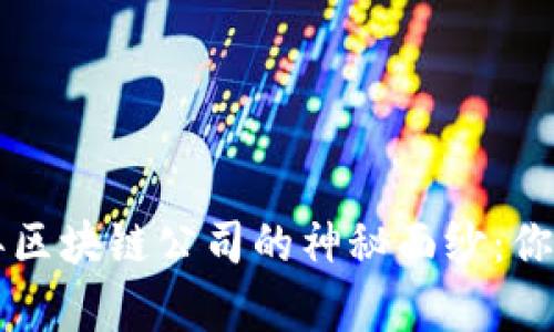 biao ti揭开2023年区块链公司的神秘面纱：你必须知道的前10强！